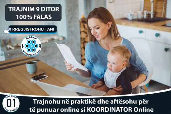 Puno Online Nga Shtepia Nepermjet Platformes Panairi Online SHPK.